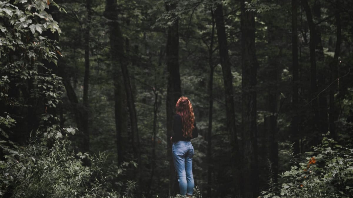 It's time to explore the woods