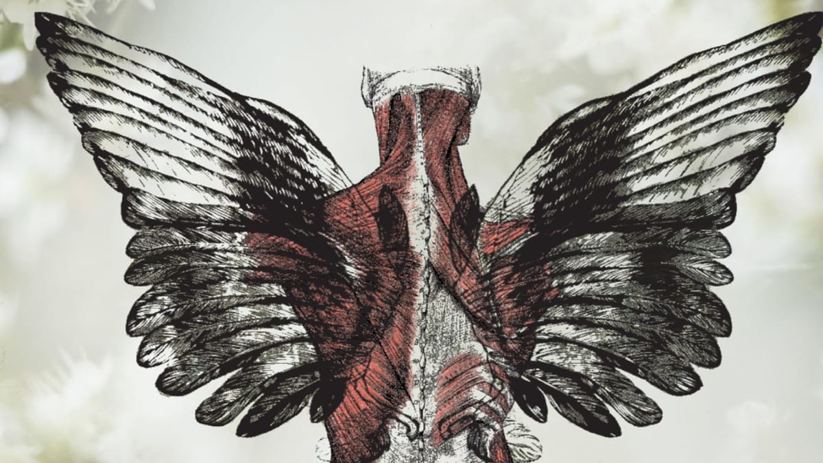 cover of TLP issue #1