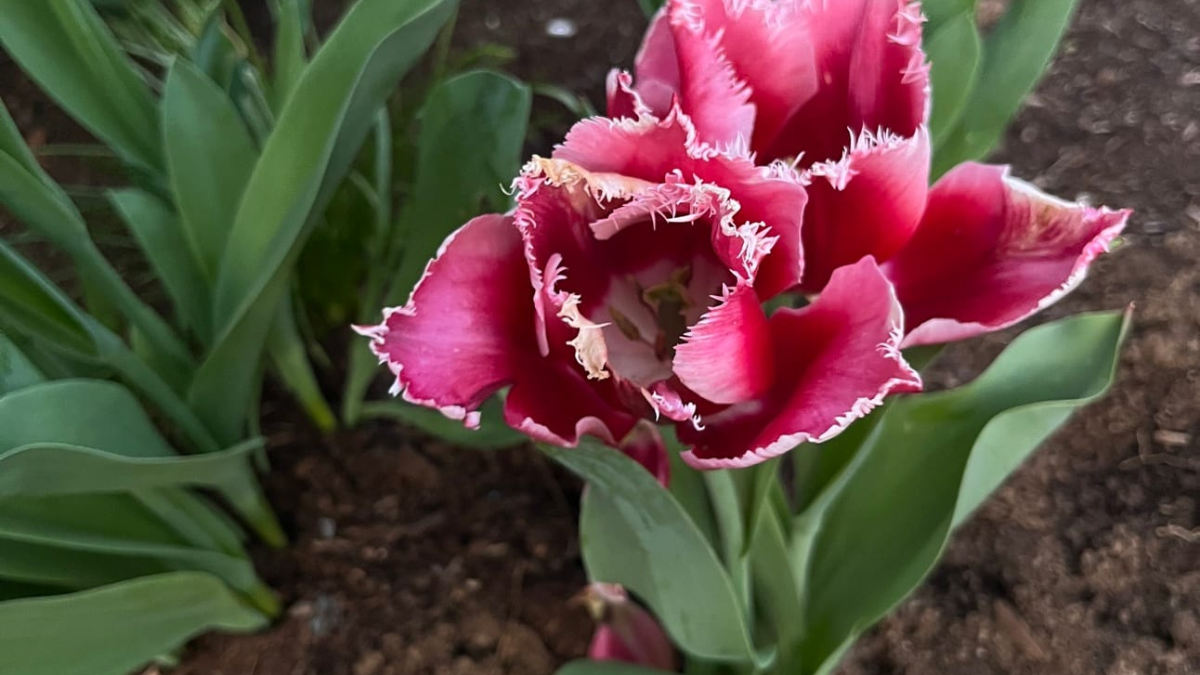 Wintering in the Spring