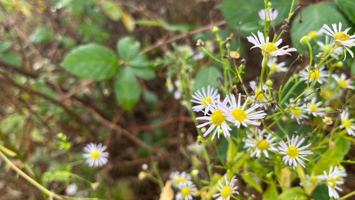 Different, but only just