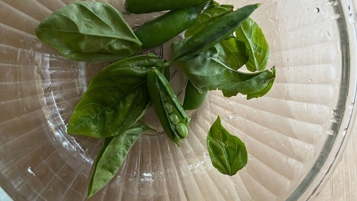 A lot of food talk lately