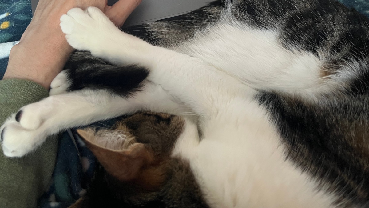 "All you want is honey"