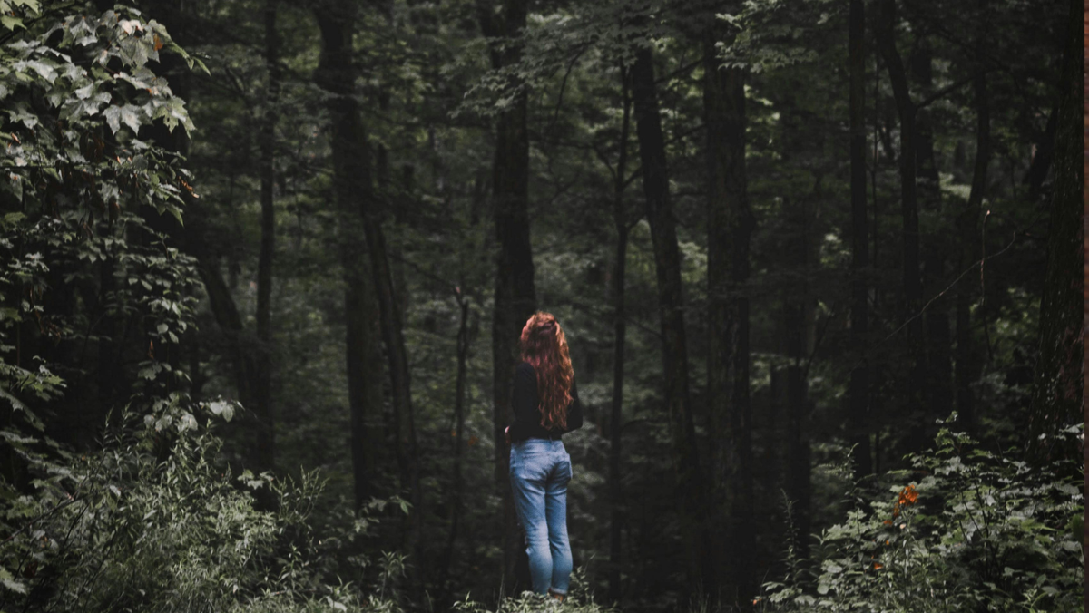 It's time to explore the woods