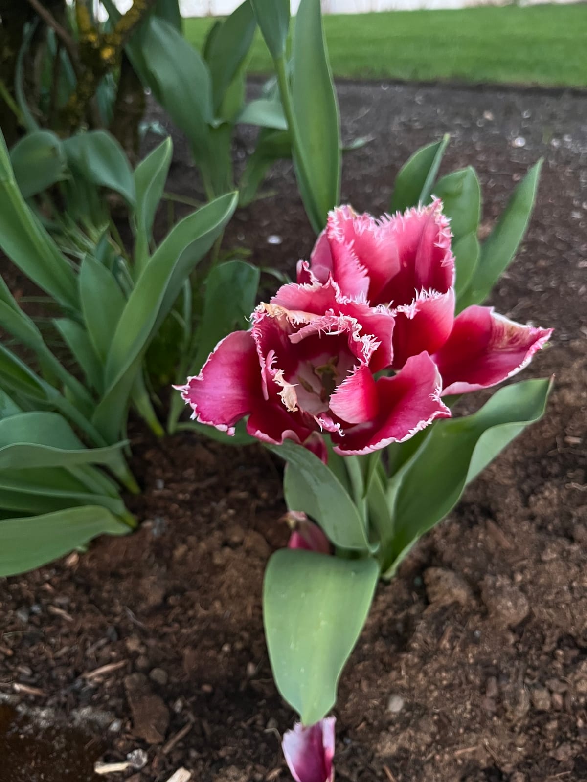 Wintering in the Spring