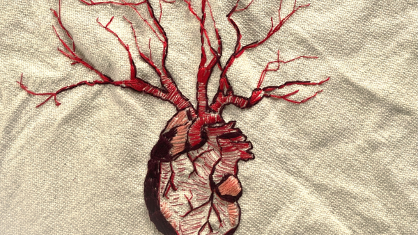 On December and Joyce's debut