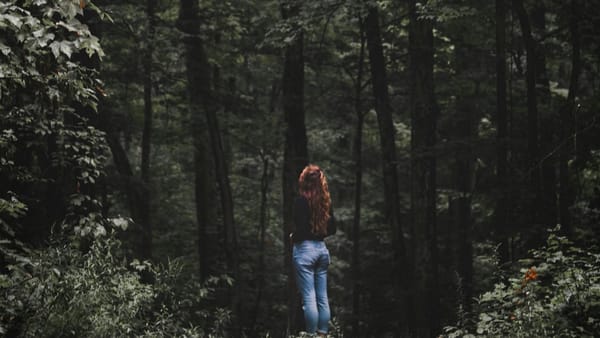 It's time to explore the woods