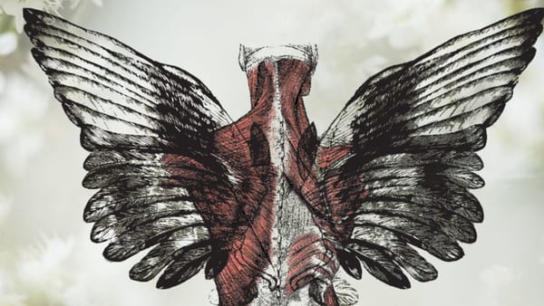 Unveiling The Little Periodical