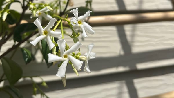 I bob in public places